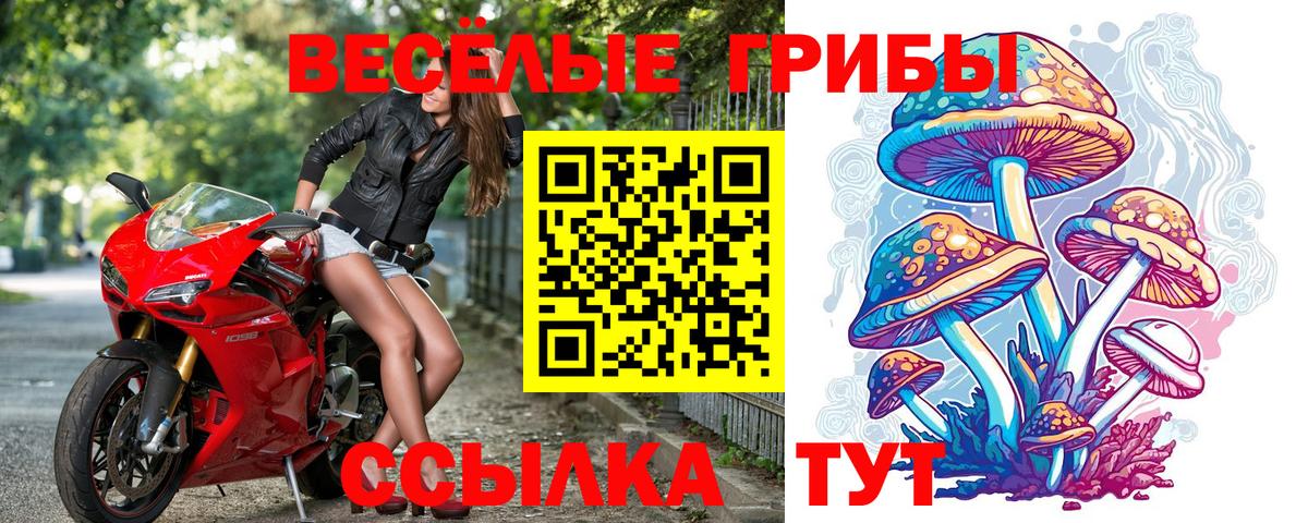 Псилоцибиновые грибы прущие грибы  Вход с VPN  Галлюциногенные грибы MAGIC MUSHROOMS  Шелехов 